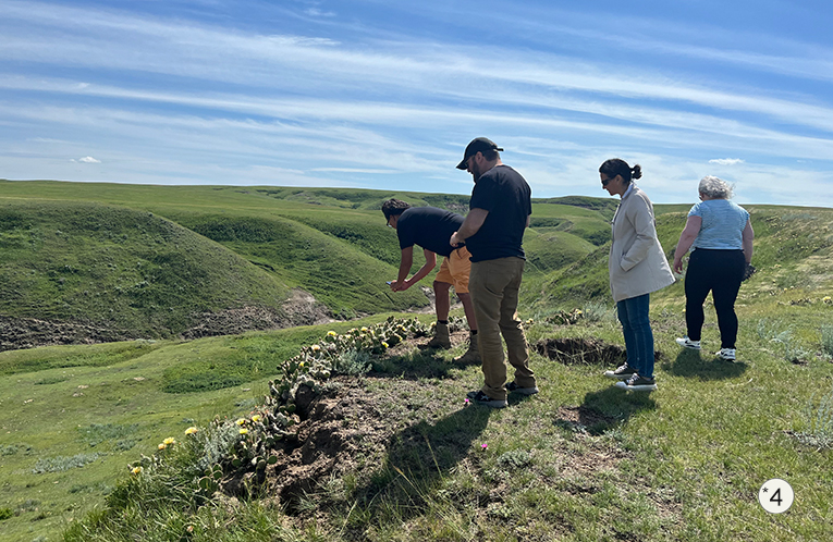 Siksika Badlands near Bassano Dam